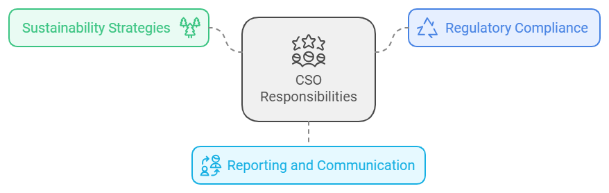 the core responsibilities of the chief sustainability officer