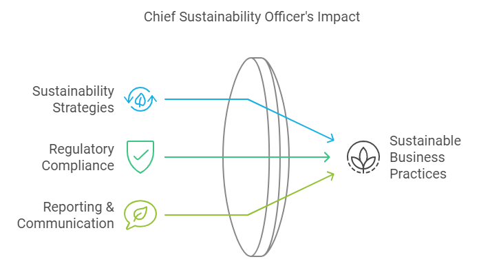 how a chief sustainability officer drives orginazational change