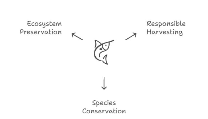 key aspects of sustainable fishing