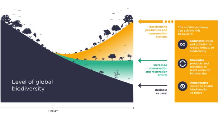 Circular economy benefits for biodiversity