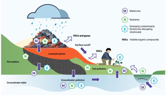 Waste can harm human health when pollutants enter the environment