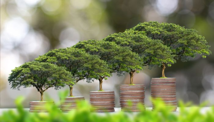 Why Sustainable Investing is Important