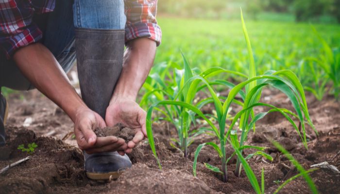 top benefits of sustainable farming