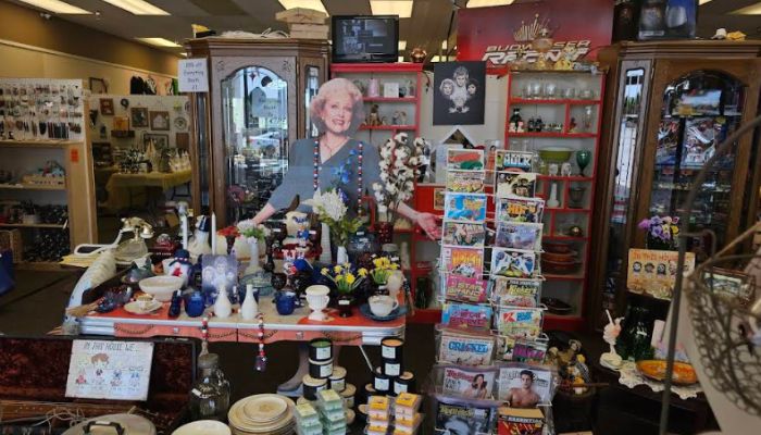 Shady Pines Vintage Market in Clarksville