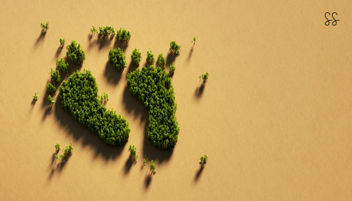 simple ways to reduce your carbon footprint